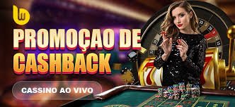 vvegas VIP နှင့် Bonus အစီအစဉ်